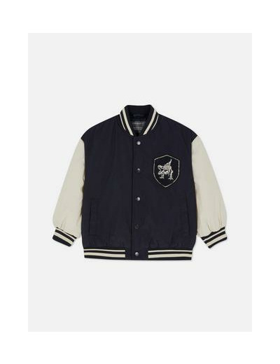 Bomber style universitaire