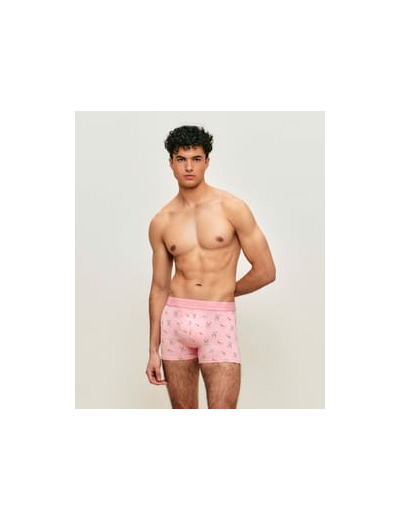 Boxer en coton Bugs Bunny