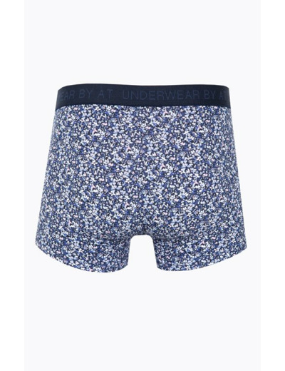 Boxer imprimé Barney