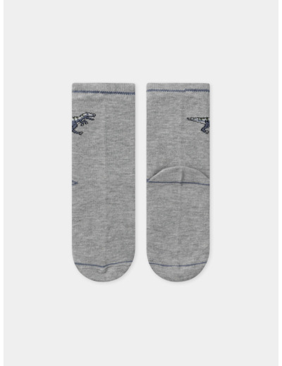 Lot de 5 chaussettes fantaisies
