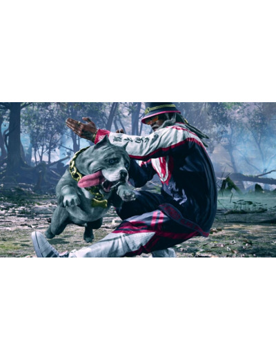 Tekken 8 | Occasion