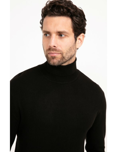 Pull Col Roulé Uni