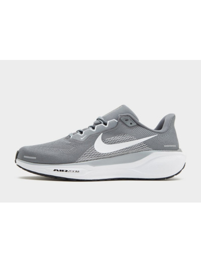 Nike Pegasus 41 Homme