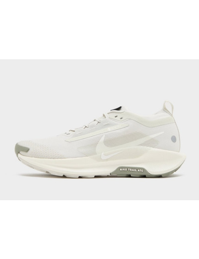 Nike Pegasus Trail 5 GORE-TEX Homme