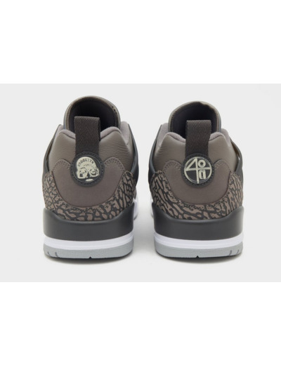 Jordan Spizike Low