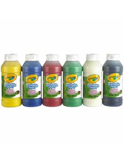 6 BOUTEILLES DE PEINTURE LAVABLES