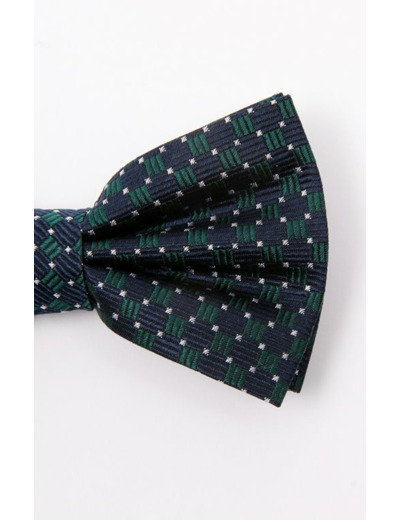 Noeud papillon en soie