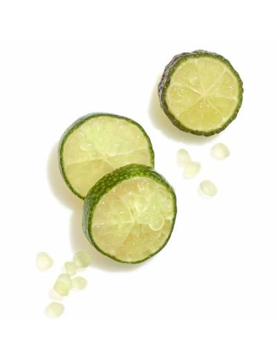 Shampooing cheveux colorés épais Invigo Color Brilliance 500ml