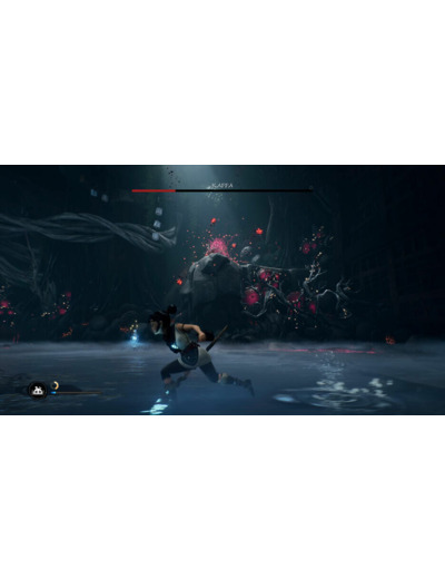 Kena Bridge Of Spirits Deluxe Edition | Occasion