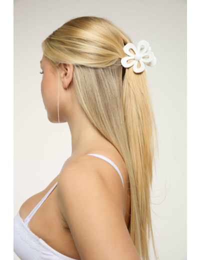 Barrette à cheveux