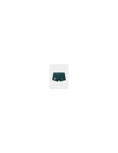 Boxer vert