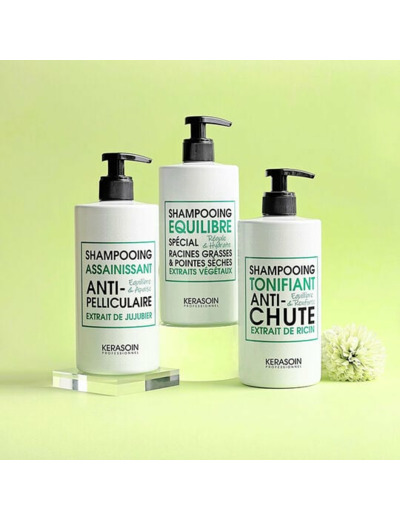 Shampooing assainissant anti-pelliculaire