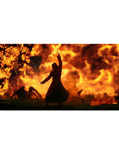 Hogwarts Legacy : L'heritage De Poudlard | Occasion