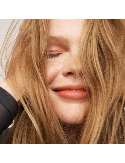 Shampooing sec Perfect Hair Day