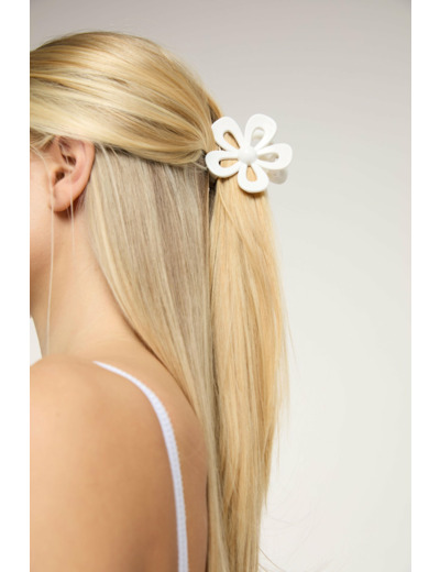 Barrette à cheveux