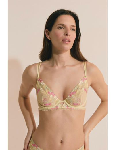 Soutien-gorge classique avec motifs fruits brodés,Soutien-gorge classique avec motifs fruits brodés;${refinementColor}