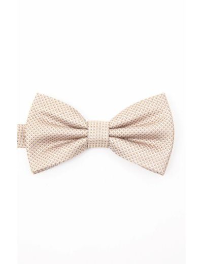 Noeud papillon en soie