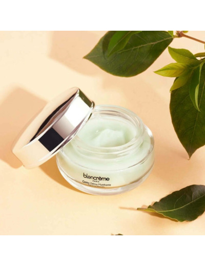 Gelee Detox Matifiante The Vert