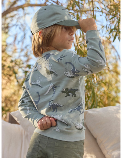 Sweat-Shirt Dinosaures