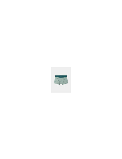 Lot de 5 boxers dinosaures pour garçons