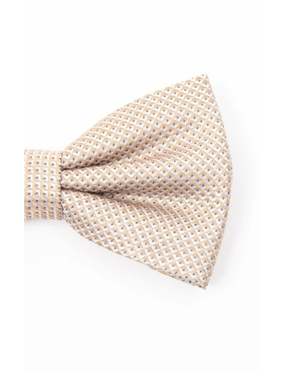 Noeud papillon en soie