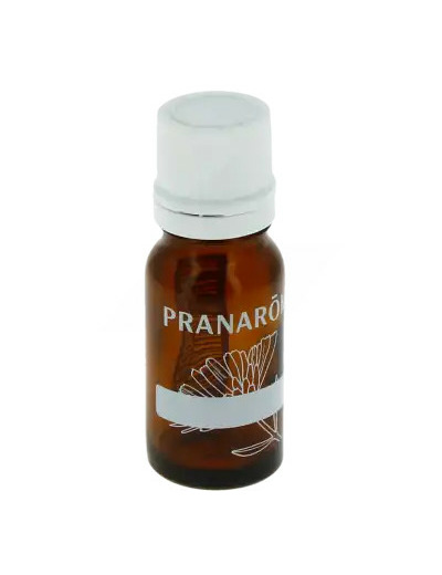 Pranarôm Flacon Compte Goutte Vide Pour Huiles Essentielles 10 Ml Boîte De 1