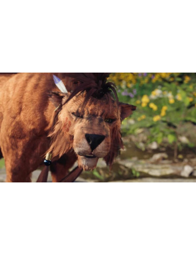 Final Fantasy VII Rebirth | Occasion