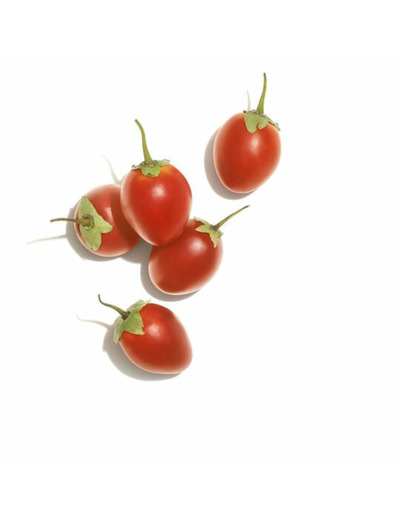 Conditionneur nutrition intense Invigo Nutri-Enrich