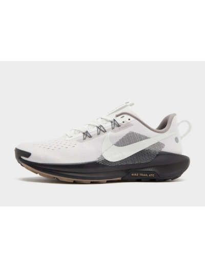 Nike Pegasus Trail 5 Homme