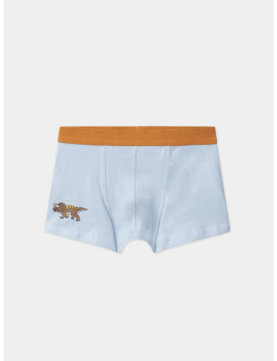 Lot de 5 boxers Dino  en jersey