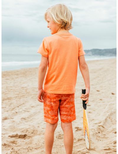 Ensemble Plage Requin