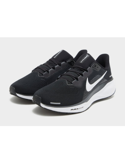 Nike Pegasus 41 Homme