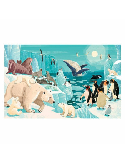 LA PLANÈTE EN DANGER - LES GLACES