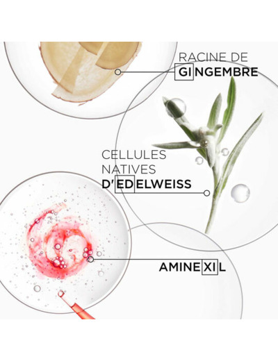 Défense Thermique Genesis