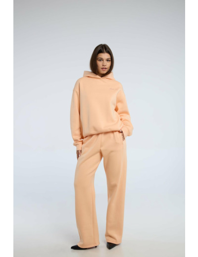 Sweatshirt avec capuche
