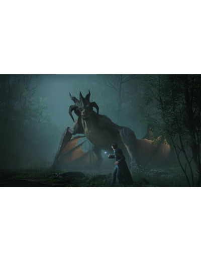 Hogwarts Legacy : L'heritage De Poudlard | Occasion