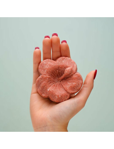 Trousse découverte à l'hibiscus