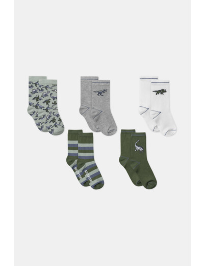 Lot de 5 chaussettes fantaisies