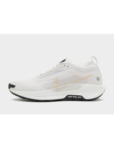 Nike Pegasus Trail 5 GORE-TEX Homme