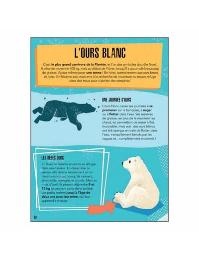 LA PLANÈTE EN DANGER - LES GLACES