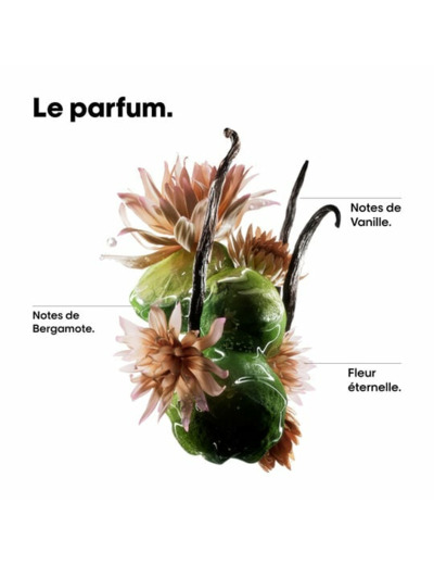Shampooing réparateur Absolut Repair Molecular 1500ml