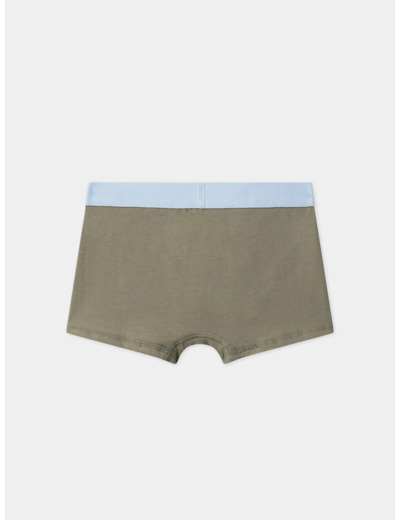Lot de 5 boxers Dino  en jersey