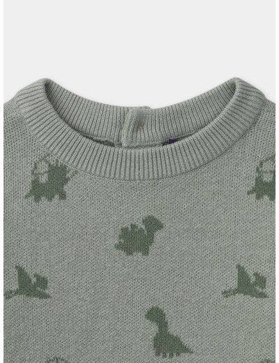Pull dinosaures