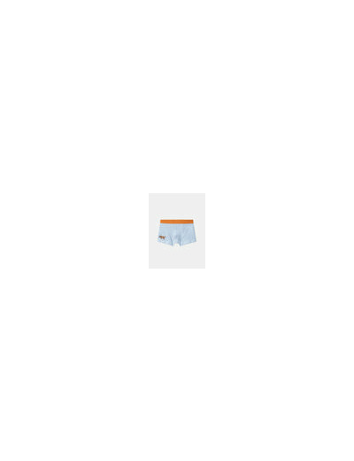 Lot de 5 boxers dinosaures en jersey