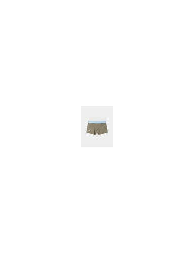 Lot de 5 boxers dinosaures en jersey