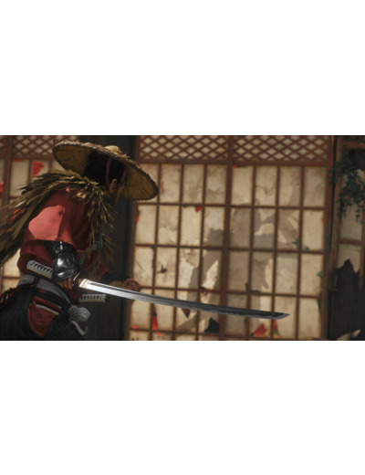 Ghost Of Tsushima Director's Cut | Occasion