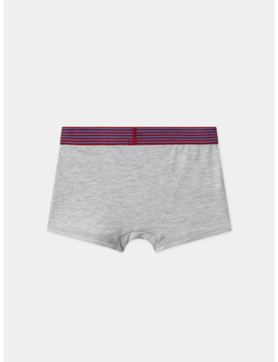 Lot de 3 boxers Camion  en jersey