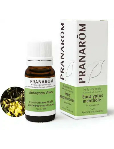 Pranarom Huile Essentielle Eucalyptus MentholÉ Flacon De 10 Ml