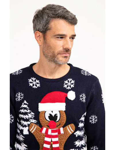 Pull de Noël Biscuit