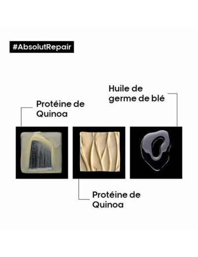 Routine restructurante intense Absolut Repair